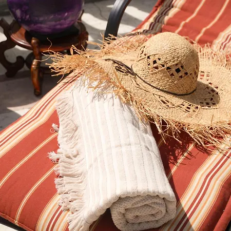 Messori 4* Castelvetro di Modena